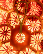 Easy Peel - Olauto