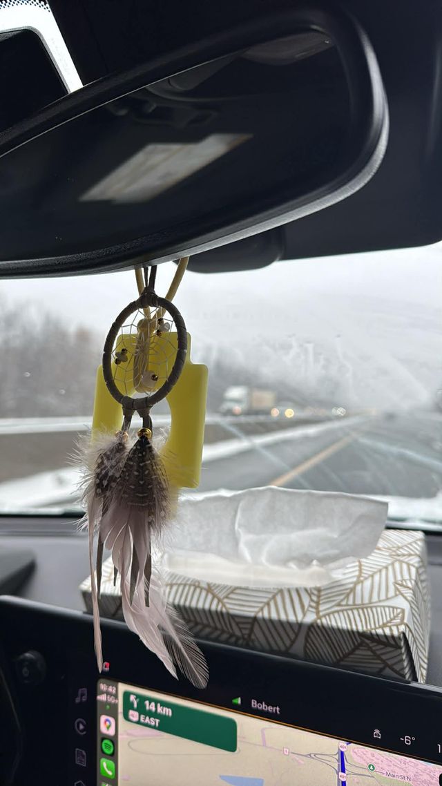 Photo accompanying Kelsey R.'s Formula Sun review